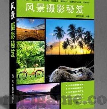 188足球比分-探秘188足球比分，数据背后的足球激情与策略博弈